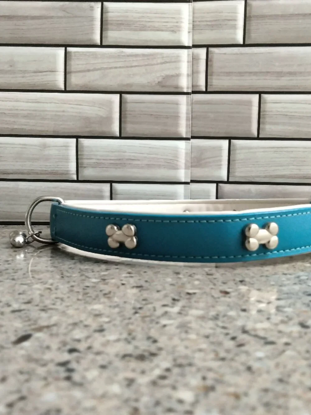 Blue, White & Chrome Leather Dog Collar 26